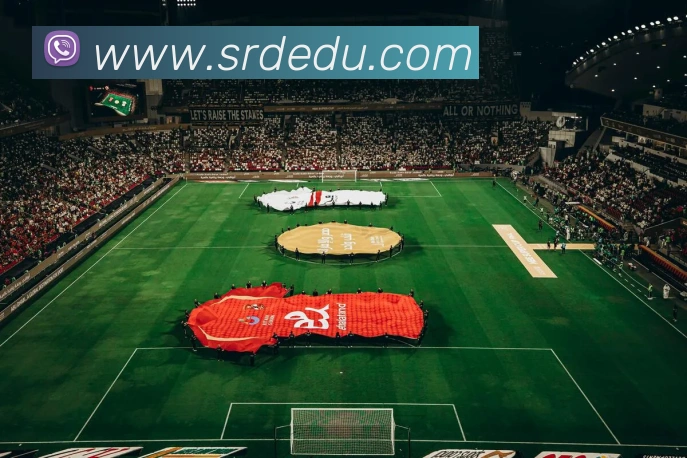 开云平台生态图