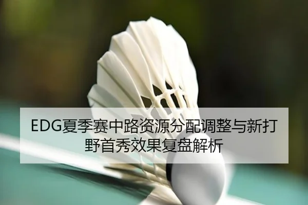 EDG夏季赛中路资源分配调整与新打野首秀效果复盘解析